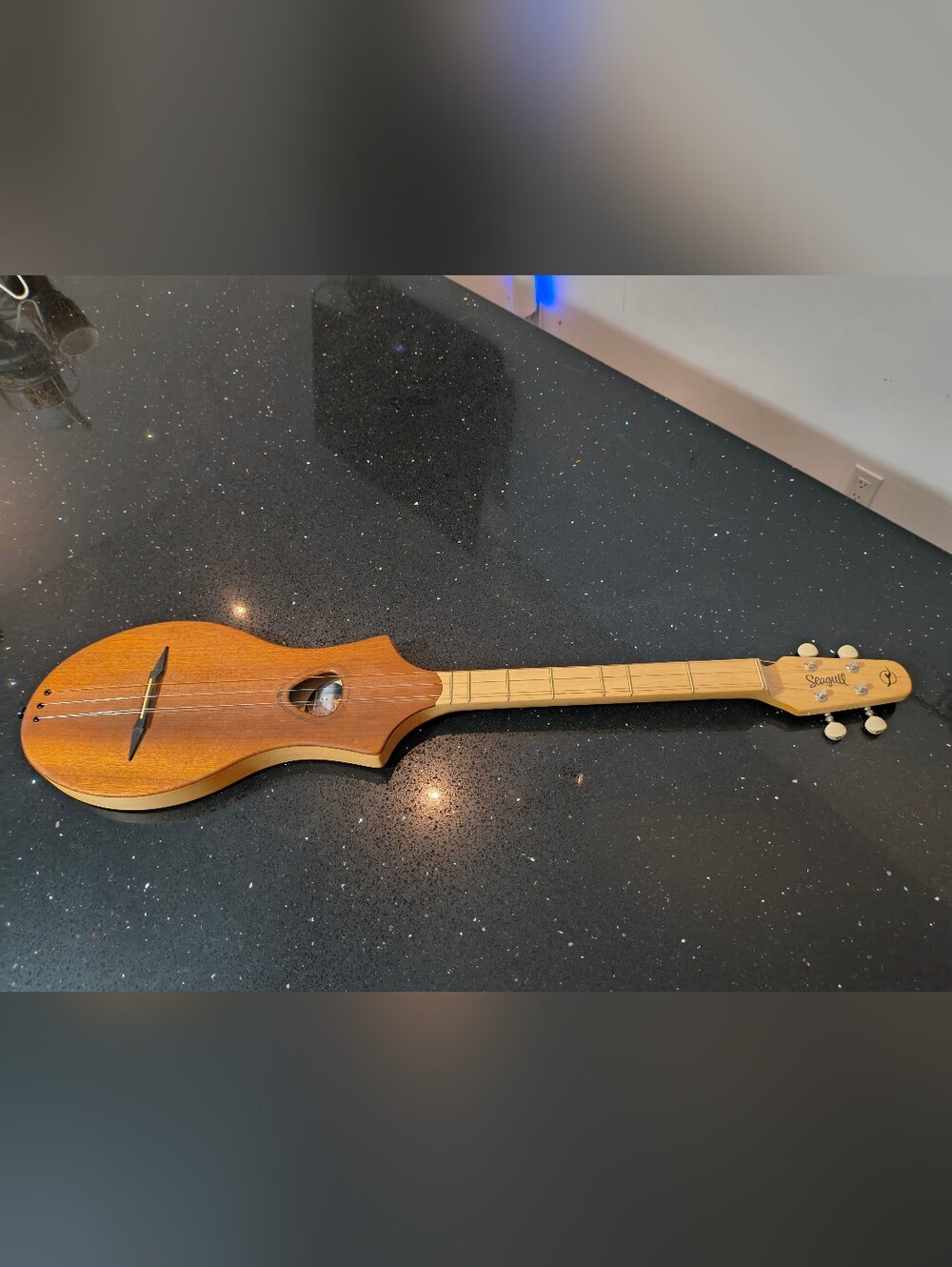 Seagull M4 Merlin Mahogany Acoustic Guitar - Natural Mahogany